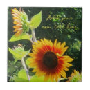 Search for sunflower tiles Flowers