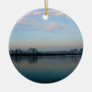 Search for korea christmas tree decorations Landscape