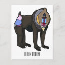 Search for primates postcards Africa