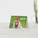 Search for funny bird cards note cards Rooster