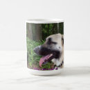 Search for anatolian mugs Kangal