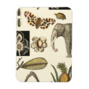 Search for painting rectangular magnets Fish