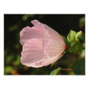 Search for fleurs posters Leaves