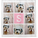Search for single pink Photography