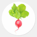 Search for radish stickers Root