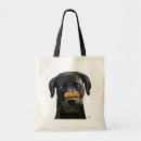 Search for nose bags Animals