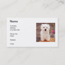 Search for west business cards Dog