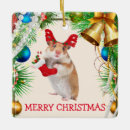 Search for hamster christmas tree decorations Santa