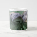 Search for sea cow mugs Florida