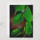 Search for drop of water invitations Green