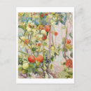 Search for fruit painting postcards Vintage