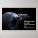 Search for corvids posters Wildlife