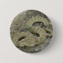 Search for viper accessories Rattlesnake