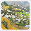 Search for crops stickers Wheat