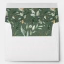 Search for eucalyptus envelopes Green eucalyptus foliage