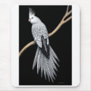 Search for cockatiel mousepads Birds