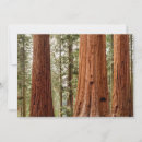 Search for giant thank you cards Redwood