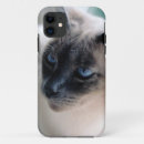 Search for siamese cat iphone cases Blue eyes