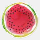 Search for summer watermelon stickers Fruit