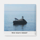 Search for wrong magnets Humour