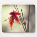 Search for japanese maple mousepads Foliage
