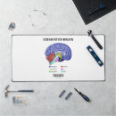 Search for human anatomy mousepads Brain
