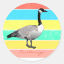 Search for canadian geese stickers Waterfowl