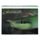 Search for lizard calendars Snake