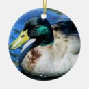 Search for duck hunter christmas tree decorations Nature