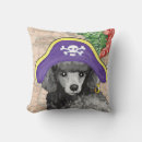 Search for pirate cushions Buccaneer
