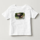 Search for ditto tshirts North america