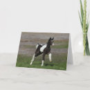 Search for vanner cards Foal