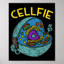 Search for cell biology posters Science