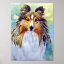 Search for sheltie art Canine