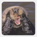 Search for bradley stickers Marine life