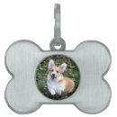 Search for running pet supplies Cute