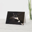 Search for cat guitar cards Cats