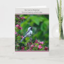 Search for backyard birds cards Chickadee