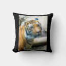 Search for tiger cushions Big cats