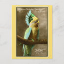 Search for parrot birthday cards Cockatoo