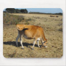 Search for calf mousepads Rural