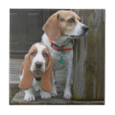 Search for hunting dog tiles Beagle