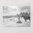 Search for fly fishing postcards Western