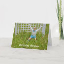 Search for keeper cards Sport