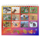 Search for swedish gifts Viking