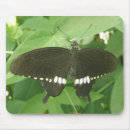 Search for common mousepads Butterfly
