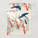Search for bird print postcards Vintage