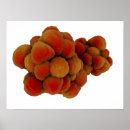 Search for single cell posters Digitally generated image