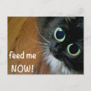Search for feedings postcards Adorable