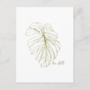 Search for lined postcards Nature
